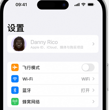 宁国appleID维修服务iPhone设置中Apple ID显示为灰色无法使用 