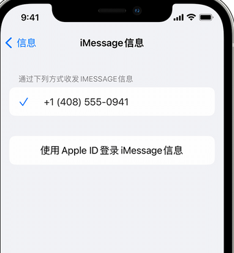 宁国apple维修iPhone上无法正常发送iMessage信息