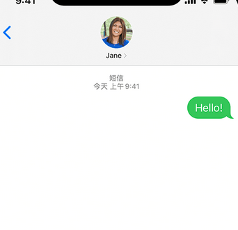 宁国apple维修iPhone上无法正常发送iMessage信息