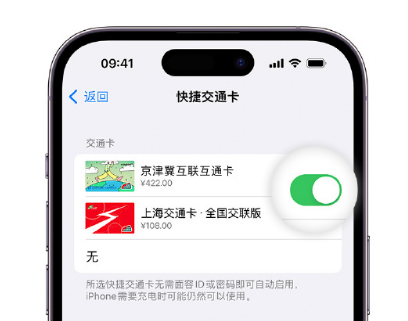 宁国apple维修点分享iPhone上更换Apple Pay快捷交通卡手绘卡面 