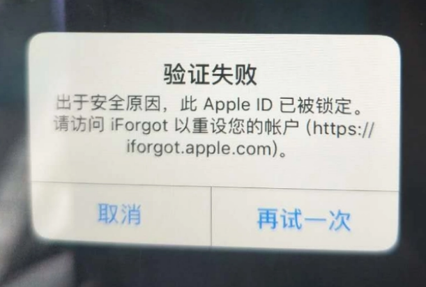 宁国iPhone维修分享iPhone上正常登录或使用AppleID怎么办 