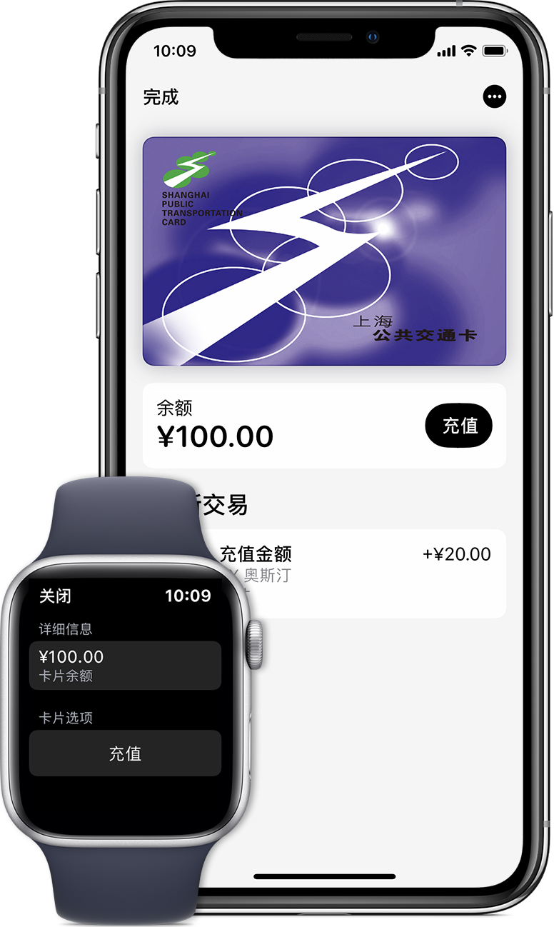 宁国苹果手机维修分享:用 Apple Pay 刷交通卡有哪些优势？如何设置和使用？ 