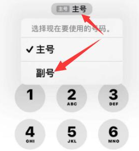 宁国苹果14维修店分享iPhone 14 Pro Max使用副卡打电话的方法 